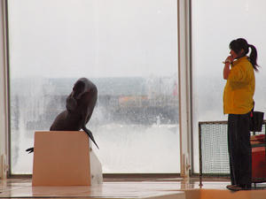 20100304_341shuusei.jpg