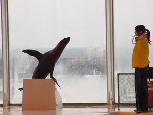 20100304_343shuusei.jpg