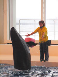 20100304_356shuusei.jpg
