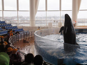 20100304_382shuusei.jpg