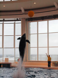 20100304_394shuusei.jpg