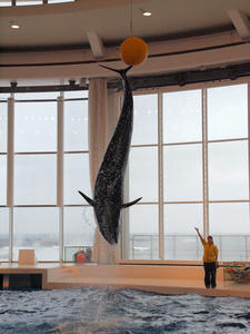 20100304_396shuusei.jpg