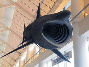 20100304_749shuusei.jpg