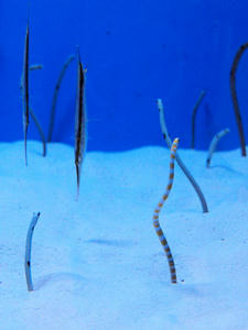 20100304_625shuusei.jpg