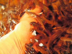 20100304_640shuusei.jpg