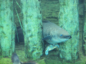 20100304_659shuusei.jpg