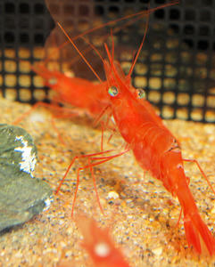 20100304_678shuusei.jpg