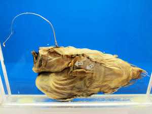 20100304_686shuusei.jpg
