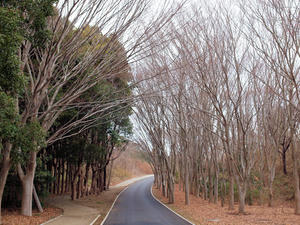 20100304_824shuusei.jpg