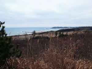 20100304_829shuusei.jpg