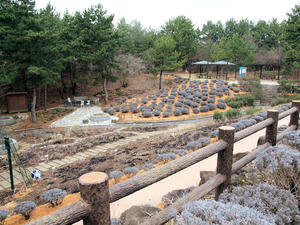 20100304_834shuusei.jpg
