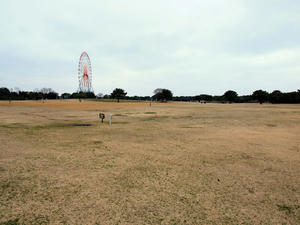 20100304_836shuusei.jpg