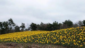 20100304_862shuusei.jpg