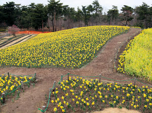 20100304_865shuusei.jpg
