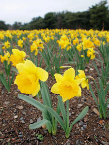 20100304_868shuusei.jpg