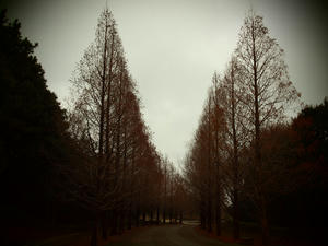 20100304_886shuusei.jpg