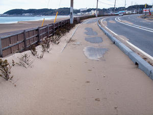 20100304_892shuusei.jpg