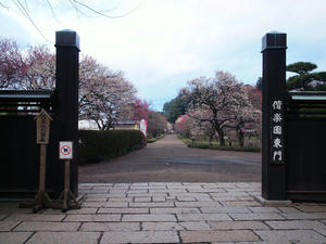 20100304_916shuusei.jpg
