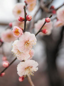 20100304_919shuusei.jpg