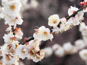 20100304_928shuusei.jpg