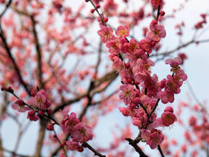 20100304_961shuusei.jpg