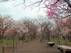 20100304_930shuusei.jpg