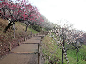 20100304_995shuusei.jpg