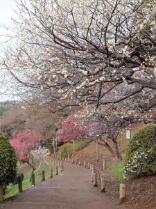20100304_986shuusei.jpg