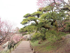 20100304_992shuusei.jpg