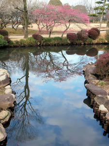 20100304_1002shuusei.jpg