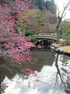 20100304_1004shuusei.jpg
