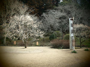 20100304_1009shuusei.jpg