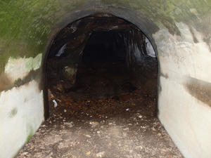 20100304_1011shuusei.jpg