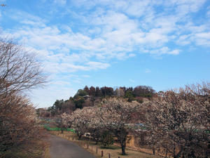 20100304_1012shuusei.jpg