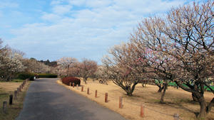20100304_1014shuusei.jpg