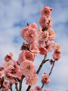 20100304_1025shuusei.jpg
