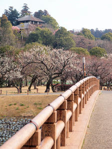 20100304_1047shuusei.jpg