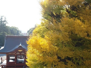 PC025458shuusei.jpg