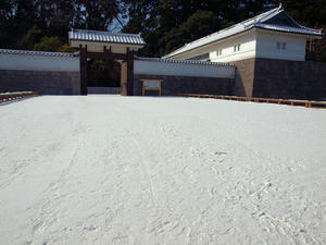 20100304_1084shuusei.jpg