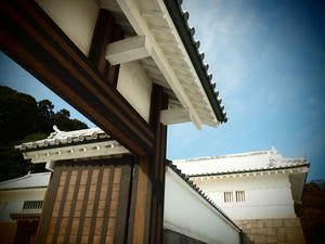 20100304_1074shuusei.jpg