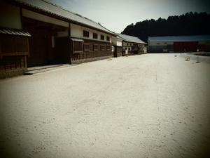 20100304_1096shuusei.jpg