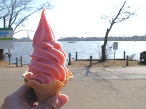 20100304_1160shuusei.jpg