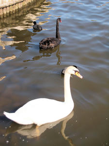 20100304_1150shuusei.jpg