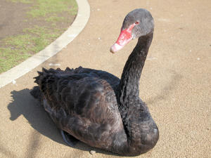 20100304_1152shuusei.jpg
