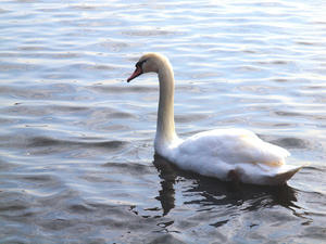 20100304_1053shuusei.jpg