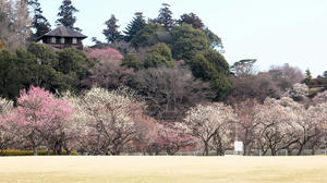 20100304_1049shuusei.jpg
