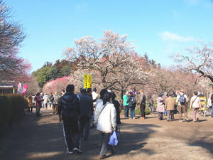 20100304_1165shuusei.jpg
