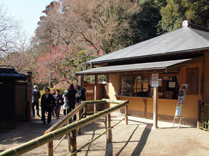 20100304_1166shuusei.jpg