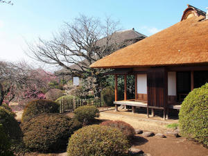 20100304_1184shuusei.jpg