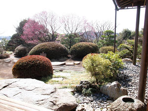 20100304_1193shuusei.jpg